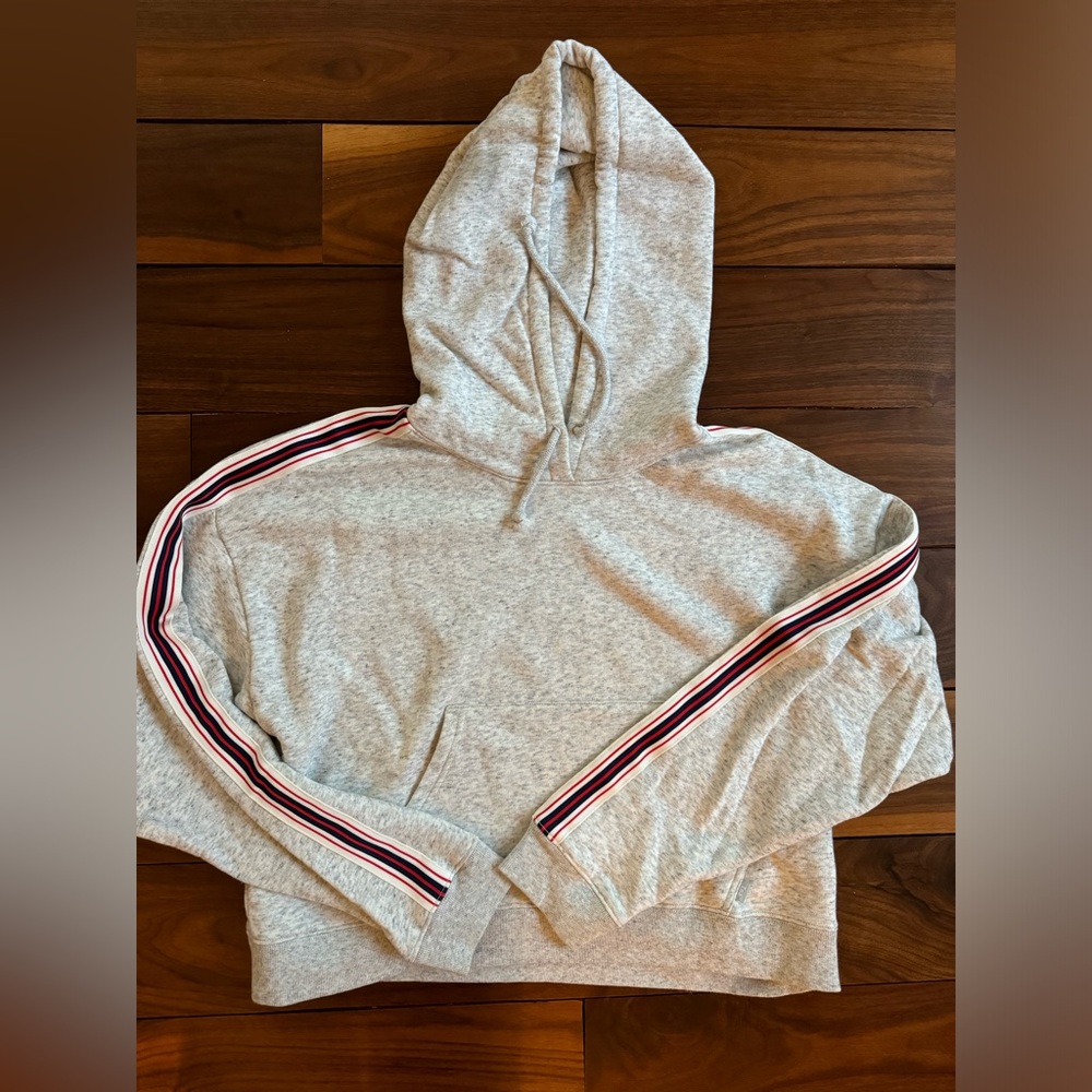 Aritzia hooded sweatshirt